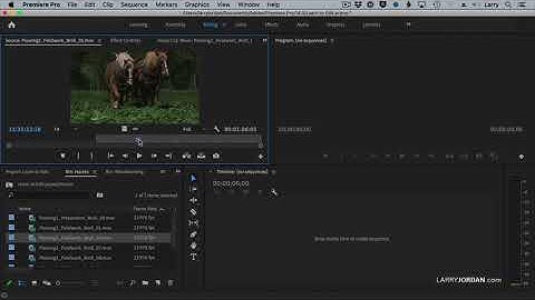 Premiere Pro: Use the Source Monitor to Review and Mark Video Clips