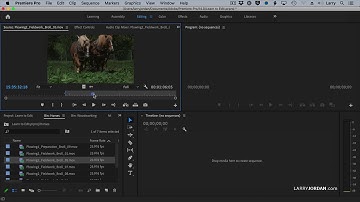 Premiere Pro: Use the Source Monitor to Review and Mark Video Clips