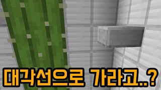 선인장 대각선 점프가 뭔 소리여(마인크래프트)