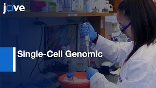 Adipose Tissue Nuclei for Single-Cell Genomic Applications | Protocol Preview