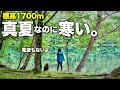 【徒歩キャンプ】関東でも暑さと無縁!?真夏でも25度以下、標高1700mの高原で猛暑から解放された独身女の休日