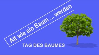 Alt wie ein Baum ... werden | TAG DES BAUMES #Shorts