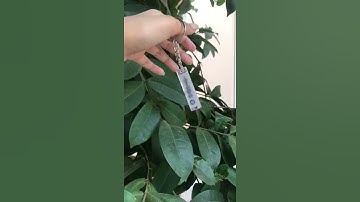 Spotify code resin keychain ✨