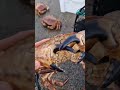 Crabs in Norway (fishing) #shorts