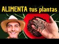 ABONO NATURAL PARA TU JARDÍN | FERTILIZANTE NATURAL PARA TUS PLANTAS | Alimento casero para plantas