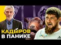 УБИЙСТВА И ПЫТКИ: Кадыров в истерике УСИЛИЛ ТЕРРОР против гражданских чеченцев / МАСХАДОВ