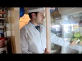 Food inspectors  series 2 episode 4