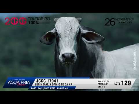 LOTE 129   JCGG 17941