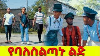 የባለስልጣኑ ልጅ  ነው ሻጠማ እድር አጭር ኮሜዲ Shatama Edire Ethiopian Comedy (Episode 183)