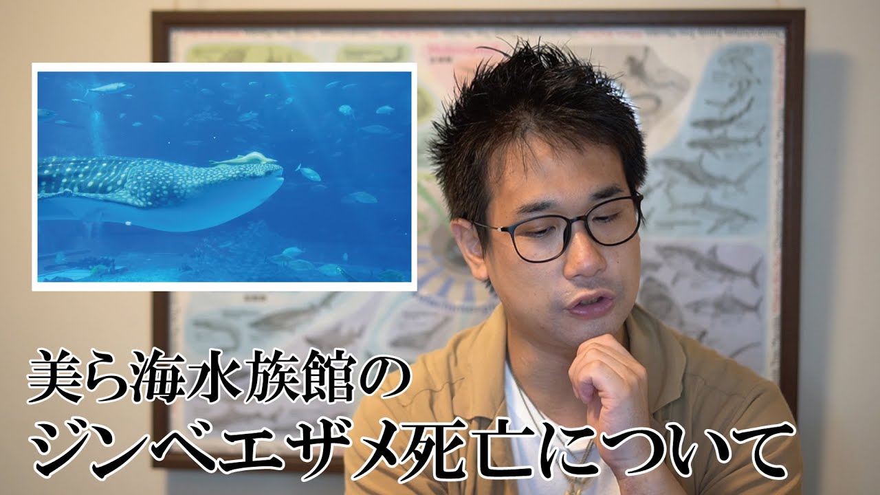 美 ら 海 水族館 ジンベイザメ 死亡