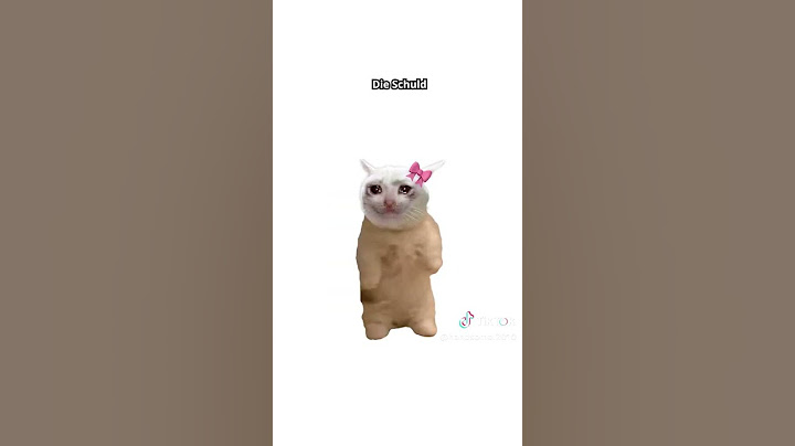 Aggressionsprobleme – erklärt von einer Katze 🐾😾 #wissen #cat #lustig #catanimation