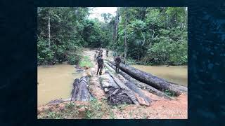 Pf Realiza Operação Para Reprimir E Coibir Invasões Na Terra Indígena Karipuna Em Rondônia