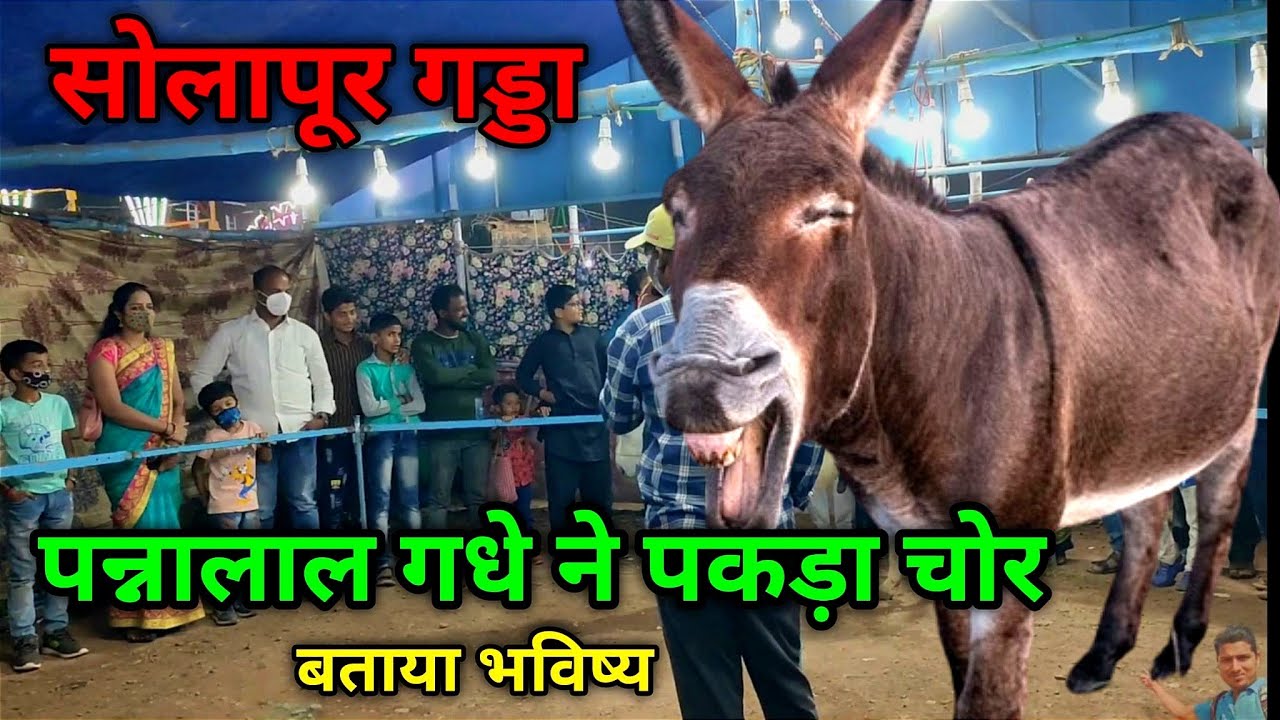 Pannalal Gadha Show | Solapur Gadda Yatra