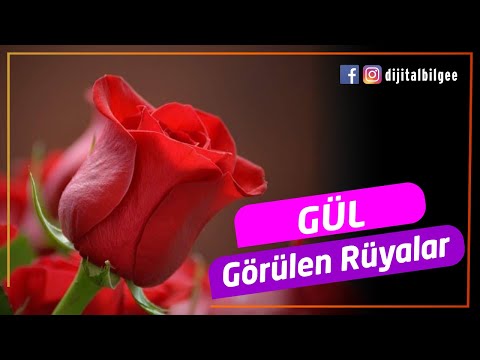 Gül Görülen Rüyalar | Rüyada Gül Görmek ne anlama gelmektedir ?