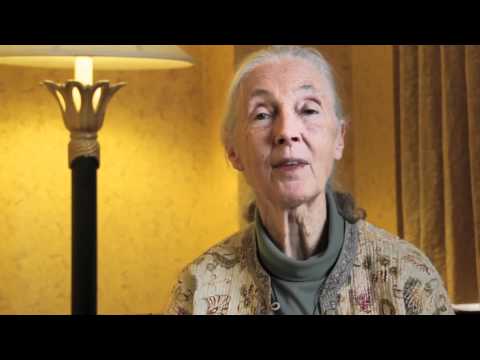Jane Goodall Addresses the Conserving the Future Conference