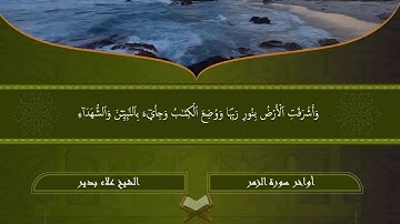 أواخر سورة الزمر | الشيخ علاء بدير