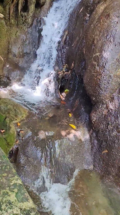 #falls nindot maligo arang ka bugnaw #shortvideo