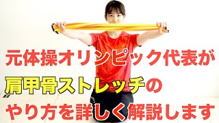 肩甲骨が柔らかくなるストレッチを解説します【リエトレ】【初心者向け】※タオルを使います。