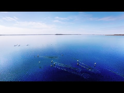 Шацький національний природний парк. Україна. Моя країна