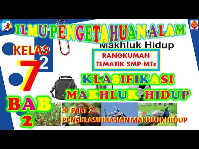 Ipa Kelas 7 Smp Klasifikasi Makhluk Hidup Bab 2 Semester 1 By Sumayasa I Part 2 Youtube Ipa Kelas 7 Smp Klasifikasi Makhluk Hidup Bab 2 Semester 1 By Sumayasa I Part 2 Youtube