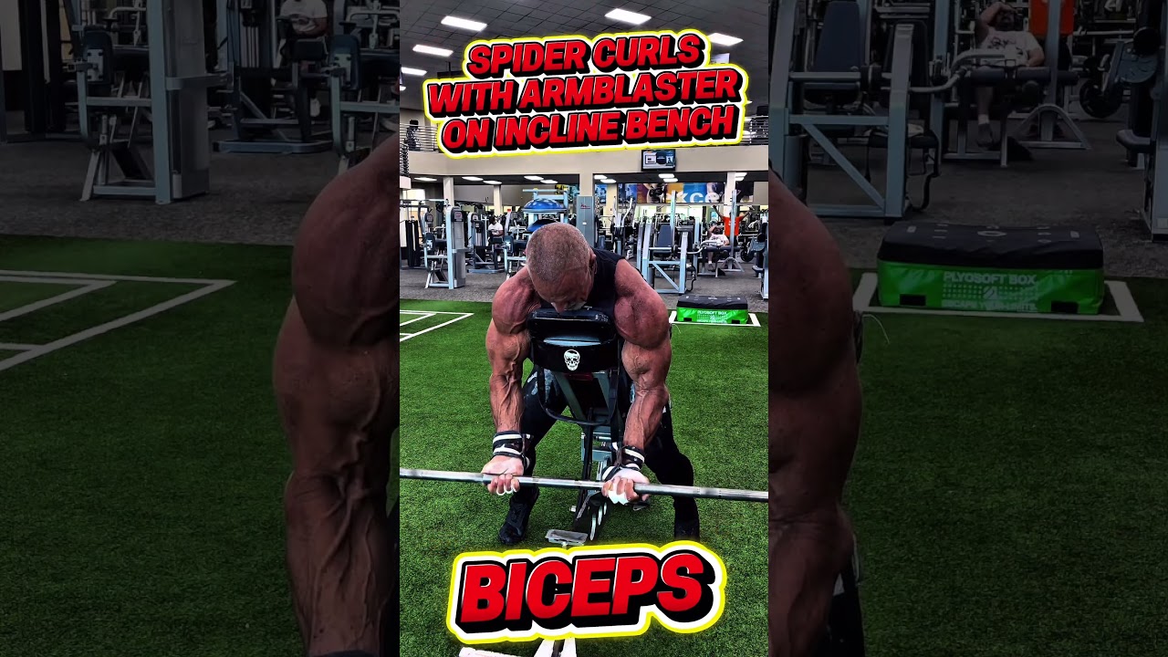SPIDER CURLS WITH ARMBLASTER IN INCLINE BENCH FOR BICEPS #workout #biceps #motivation #muscle