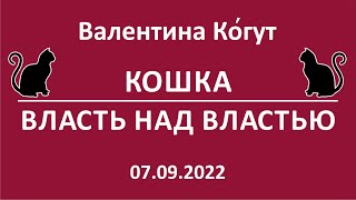 видео: Кошка. Власть над Властью🐈 картинка: Кошка. Власть над Властью🐈