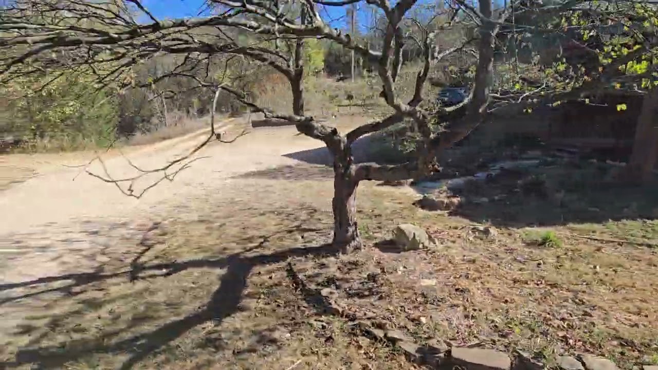 The Eureka Springs & North Arkansas Railway Tour Pt 1.