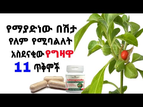 ቪዲዮ: በግሪን ሃውስ ውስጥ ሐብሐብ እንዴት እንደሚበቅል