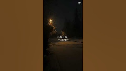 سورة الاخلاص #القران_الكريم #اكسبلور #لايك #ترند