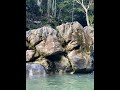 visitando las cuevas de las pavas en tingo maria peru