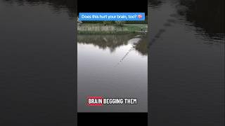 How Unsatisfying Is This but How Many Did You Countstoneskipping lake stoneskimming rocks