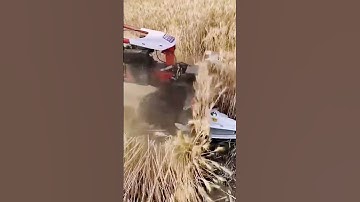 advanced machine for fast crop harvesting process #shorts