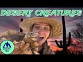 Desert creatures of arizona