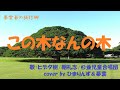 この木なんの木<日立の樹>