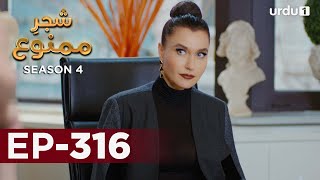 Shajar-e-Mamnu | Episode 316 | Turkish Drama  | Forbidden Fruit | Urdu Dubbing | 24 February 2022