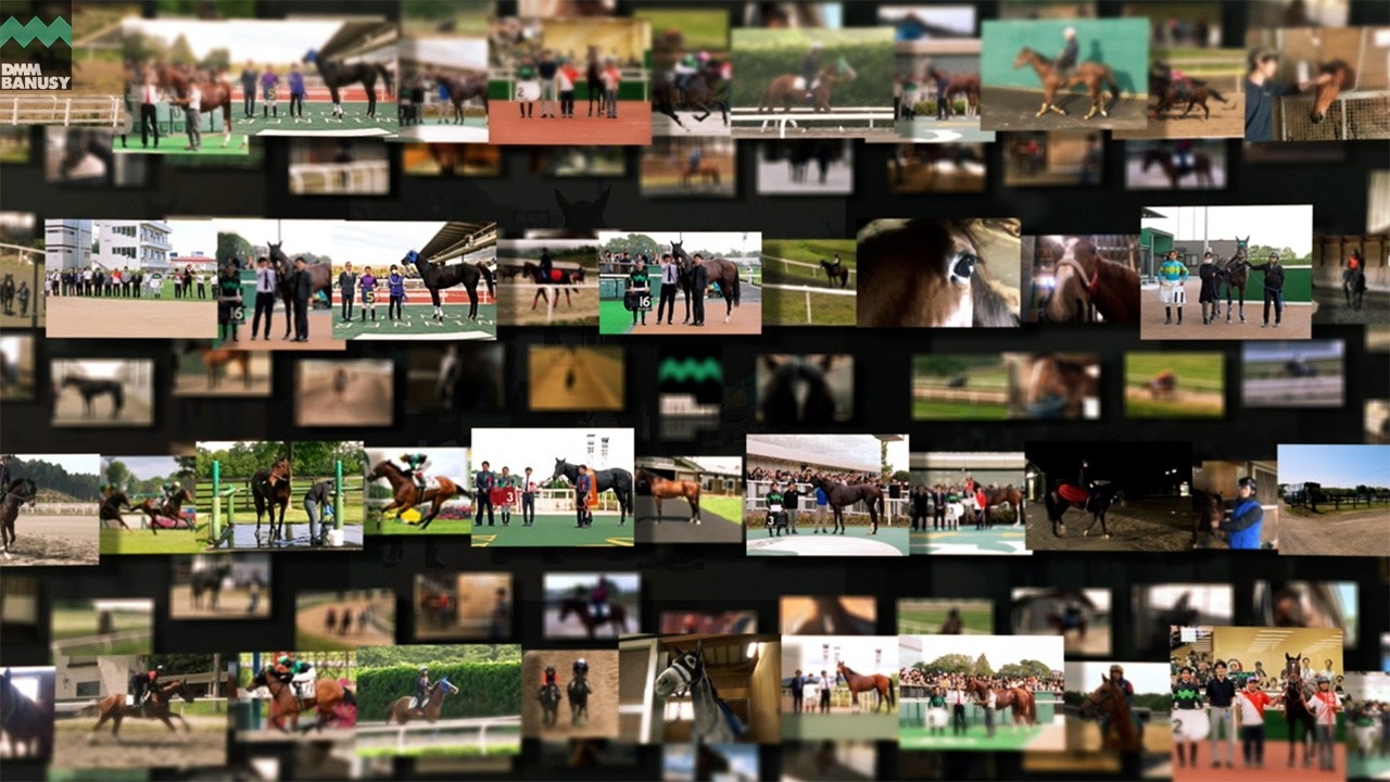 [DMMバヌーシー]2026年 競走馬名の決定（牡馬）