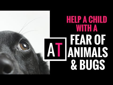 Video: Ako pomôcť pes vystrašený hmyzom