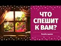 ЧТО СПЕШИТ В ВАШУ ЖИЗНЬ? ЧТО ХОРОШЕЕ ВАС ЖДЕТ ПО СУДЬБЕ? КАК ИЗМЕНИТСЯ МОЯ ЖИЗНЬ? расклад на судьбу