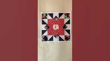 Quilt Block#9 Peony Star!Barnstar Sampler Shelly Cavanna #shorts #shortvideo #shortsvideo #handmade