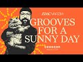 Grooves for a sunny day dj set