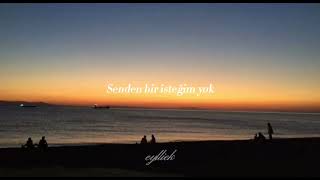 Hemsaye - Bir Güvercin Bir Martı (Sözleri)