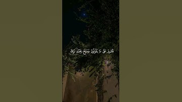 فاصبر على ما يقولون وسبح بحمد ربك | سورة طه (130:132) القارئ محمد أيوب #islam #quran #قران_كريم