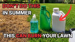 Baby Shampoo, Fertilizer & Iron for Lawns — What Actually Works?