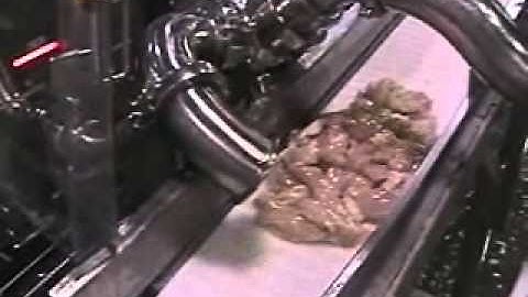 Anritsu Pipeline X Ray Inspecting Poultry Trim Meat Unedited