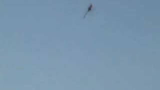 Hk 450 First 3D Flight With Crash