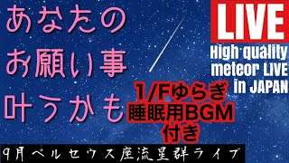カメラに賭ける青春の配信のサムネイル画像