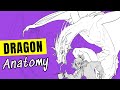 Start drawing dragons like this
