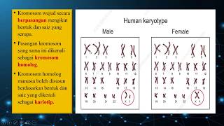 Sains Tingkatan 4 KSSM I BAB 5 I Apakah Kromosom,Gen dan DNA ???