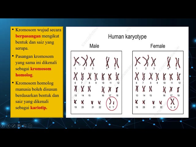 Sains Tingkatan 4 KSSM I BAB 5 I Apakah Kromosom,Gen dan DNA ??? class=