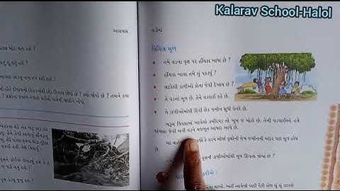 STD - 4 GM PARYAVARAN CH - 11 VADI MA PART - 5